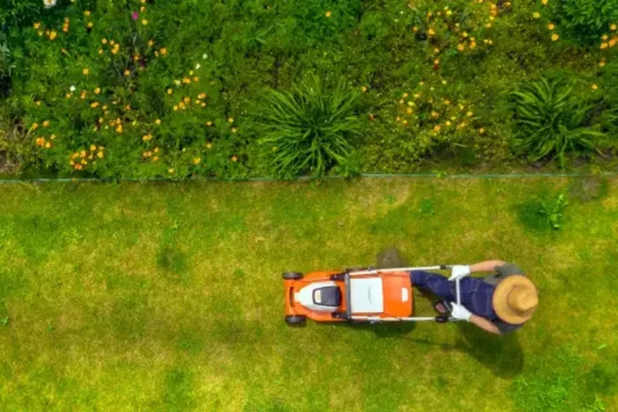 Affordable Lawn Maintenance Mt Vernon, WA Affordable Lawn Maintenance Mt Vernon, WA