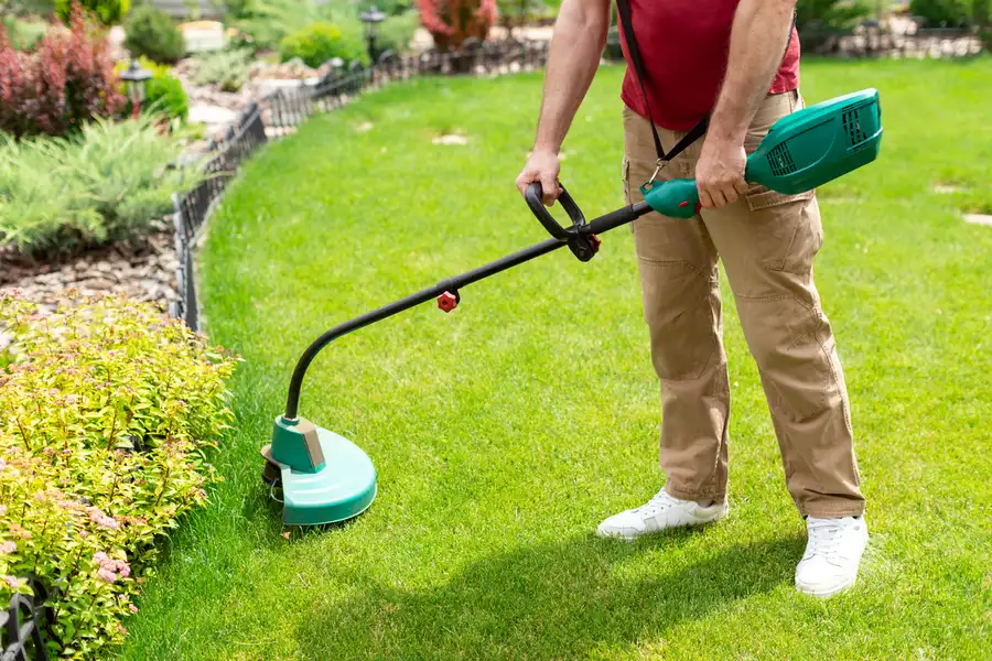 Experienced Lawn Care Mt Vernon, WA Experienced Lawn Care Mt Vernon, WA