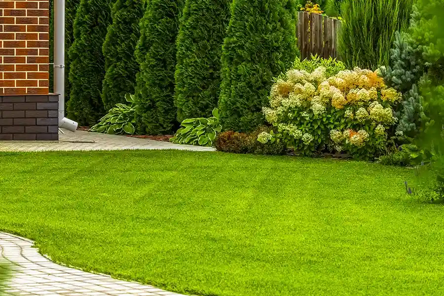 Expert Lawn Care Mt Vernon, WA Expert Lawn Care Mt Vernon, WA