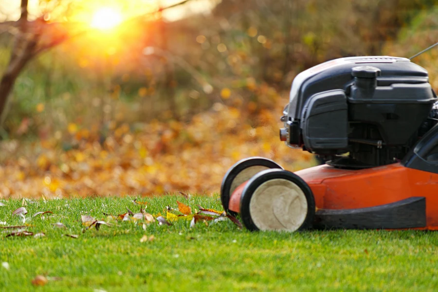 How To Choose The Right Tree Service For Your Lawn Care Needs in Mt Vernon, WA How To Choose The Right Tree Service For Your Lawn Care Needs in Mt Vernon, WA
