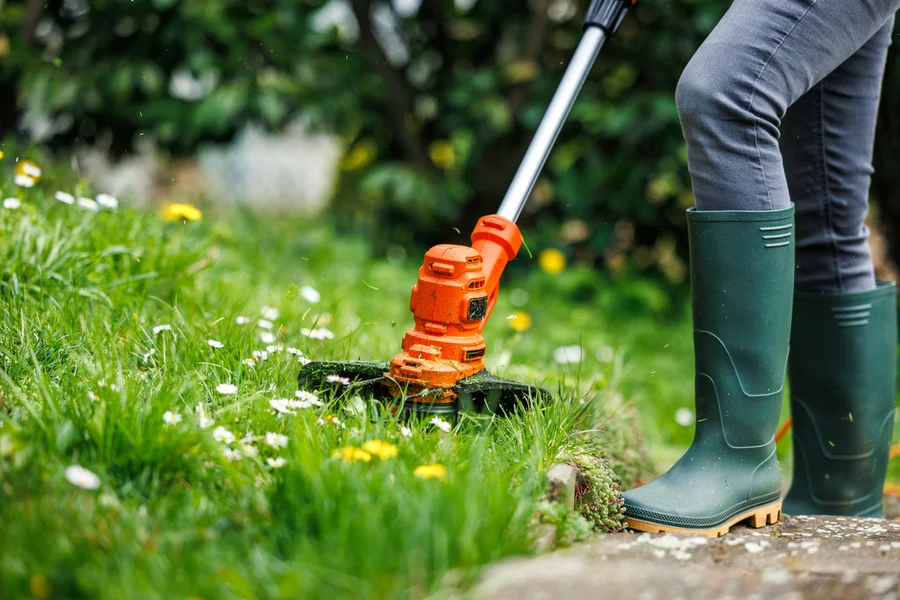 Premium Lawn Care Mt Vernon, WA Premium Lawn Care Mt Vernon, WA